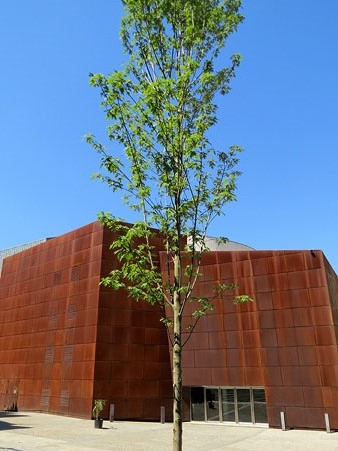 Vista actual de la pla&ccedil;a. Al fons, fa&ccedil;ana posterior del Teatre Municipal