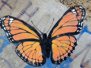 Art mural als carrers de Girona 