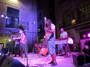 Diada Nacional 2016. Concert del grup Falciots Ninja a la pla&ccedil;a del Vi