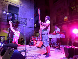 Diada Nacional 2016. Concert del grup Falciots Ninja a la pla&ccedil;a del Vi