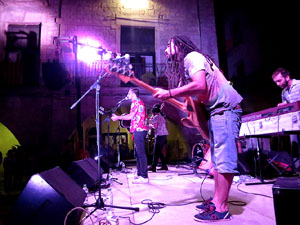 Diada Nacional 2016. Concert del grup Falciots Ninja a la pla&ccedil;a del Vi