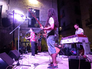 Diada Nacional 2016. Concert del grup Falciots Ninja a la pla&ccedil;a del Vi