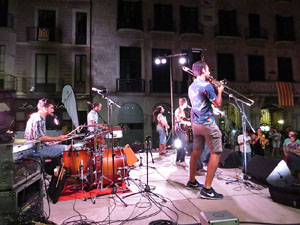 Diada Nacional 2016. Concert del grup Falciots Ninja a la pla&ccedil;a del Vi