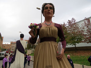 Fires 2016. 35a. Trobada de Gegants de Fires de Sant Narc&iacute;s