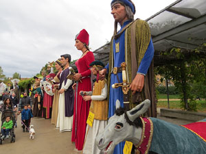 Fires 2016. 35a. Trobada de Gegants de Fires de Sant Narc&iacute;s
