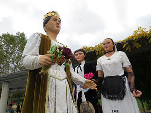 Fires 2016. 35a. Trobada de Gegants de Fires de Sant Narc&iacute;s