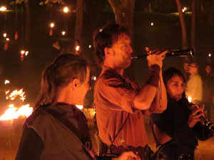 Fires 2016. Espectacle de foc i m&uacute;sica Llumin&agrave;ries de Fires, a c&agrave;rrec de Taller de Magn&egrave;sia i Els Berros de la Cort