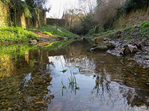 El Galligants a l'inici de l'itinerari, entre els Jardins del doctor Figueres i el passeig Arqueol&ograve;gic