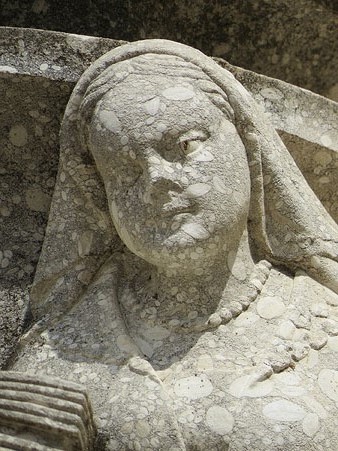 Detall d'una de les m&egrave;nsules