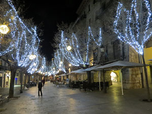 Nadal 2016. La decoraci&oacute; nadalenca dels carrers