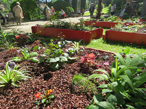 Temps de Flors 2016. Jardins i pla&ccedil;a de la Torre de Carlemany
