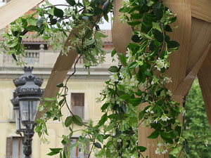Temps de Flors 2016. Altres espais
