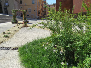 Temps de Flors 2016. La pla&ccedil;a del Pallol