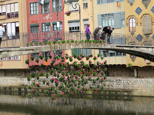 Temps de Flors 2016. Els ponts de l'Onyar