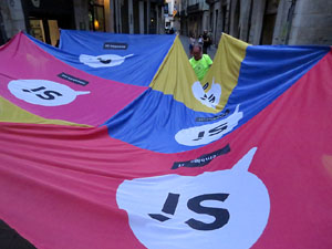 11 de setembre 2017. Assaig de la manifestaci&oacute; de la Diada al carrer Ciutadans i la pla&ccedil;a del Vi