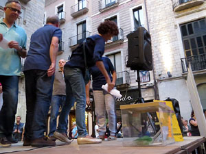 11 de setembre 2017. Concentraci&oacute; a la pla&ccedil;a del Vi en defensa del refer&egrave;ndum
