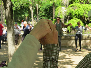 LX Aplec de la Sardana a Girona, als Jardins de la Devesa