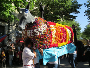 Festes de Primavera de Girona 2017. Cercavila de mulasses amb la Mula Baba i l'Ase de Bessan
