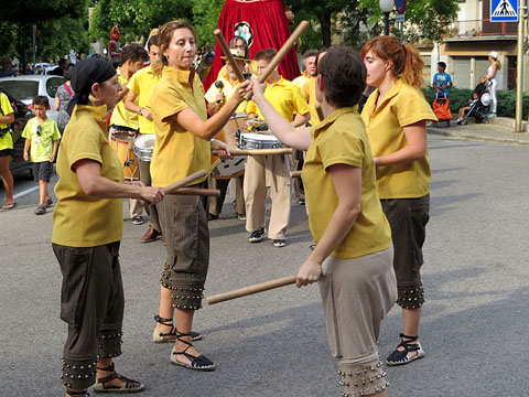 Bastoners de Fal&middot;lera Gironina durant la cercavila