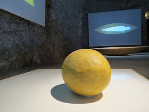 inund'ART 2017. Exposicions a l'espai La Carbonera, del Museu d'Hist&ograve;ria