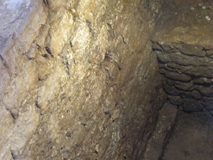 Troballa d'un potent pany de muralla en una casa del carrer Argenteria de Girona