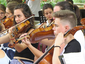 Notes al parc 2017. Cicle de m&uacute;sica en viu als parcs i jardins de la ciutat