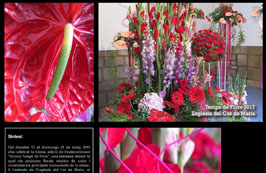 Anar