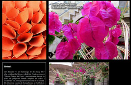 Anar