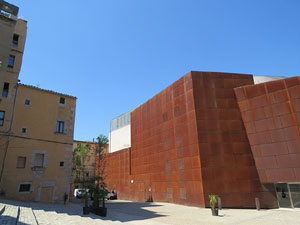 La pla&ccedil;a del Pallol. Hist&ograve;ria i reportatge fotogr&agrave;fic de l'indret del Barri Vell de Girona