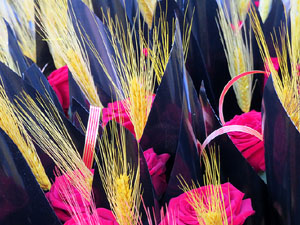 Sant Jordi 2017 a Girona