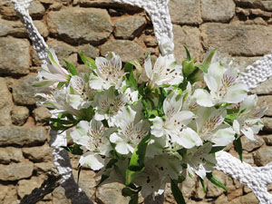 Temps de Flors 2017. Instal&middot;lacions i muntatges florals darrere dels absis de Sant Pere de Galligants