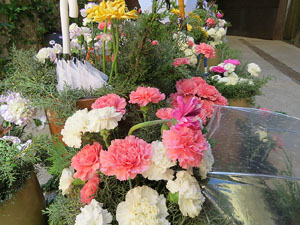 Temps de Flors 2017. Instal&middot;lacions i muntatges florals a l'Ajuntament de Girona i el Teatre Municipal
