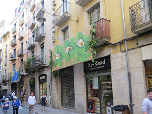 Temps de Flors 2017. Instal&middot;lacions i muntatges florals al carrer Ballesteries