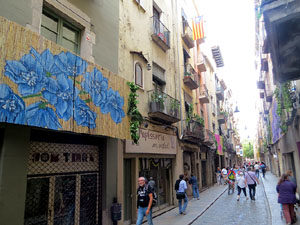 Temps de Flors 2017. Instal&middot;lacions i muntatges florals al carrer Ballesteries