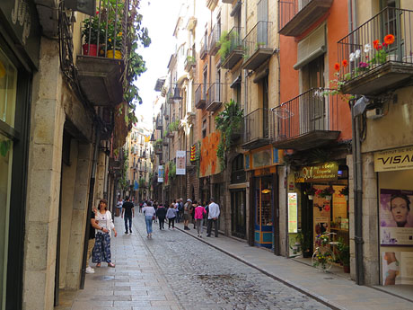 Temps de Flors 2017. Instal&middot;lacions i muntatges florals al carrer Ballesteries