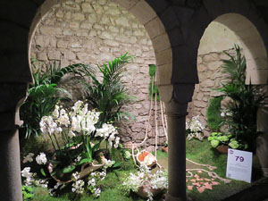 Temps de Flors 2017. Decoracions florals als diversos espais dels Banys &Agrave;rabs