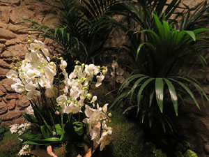 Temps de Flors 2017. Decoracions florals als diversos espais dels Banys &Agrave;rabs