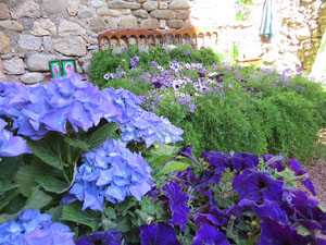 Temps de Flors 2017. Decoracions florals als diversos espais dels Banys &Agrave;rabs