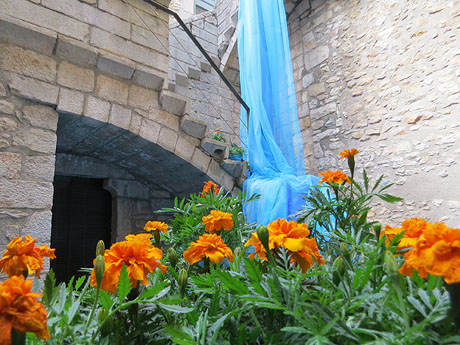 Temps de Flors 2017. Instal&middot;lacions i muntatges florals al pati de la Casa Boadas Formiga