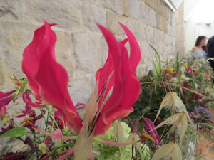 Temps de Flors 2017. Palau de Caramany