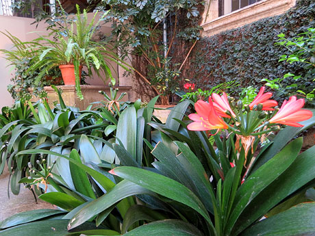 Temps de Flors 2017. Palau de Caramany