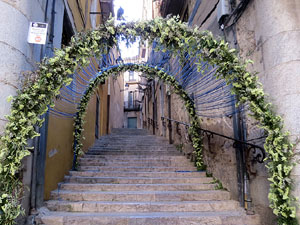 Temps de Flors 2017. Instal&middot;lacions i muntatges als espais del carrer de la  For&ccedil;a, el de Sant Lloren&ccedil;, carrer doctor Oliva i Prat, i pujada de la Font de la Pera