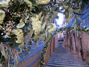 Temps de Flors 2017. Instal&middot;lacions i muntatges als espais del carrer de la  For&ccedil;a, el de Sant Lloren&ccedil;, carrer doctor Oliva i Prat, i pujada de la Font de la Pera