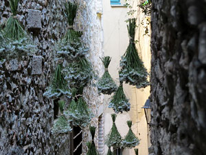 Temps de Flors 2017. Instal&middot;lacions i muntatges als espais del carrer de la  For&ccedil;a, el de Sant Lloren&ccedil;, carrer doctor Oliva i Prat, i pujada de la Font de la Pera