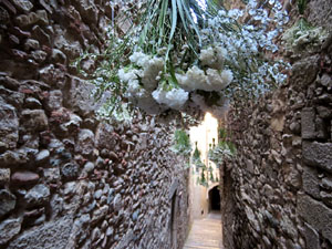 Temps de Flors 2017. Instal&middot;lacions i muntatges als espais del carrer de la  For&ccedil;a, el de Sant Lloren&ccedil;, carrer doctor Oliva i Prat, i pujada de la Font de la Pera