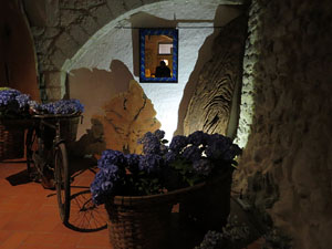 Temps de Flors 2017. Instal&middot;lacions i muntatges florals als diversos espais de la Casa Laporta-C&uacute;ndaro