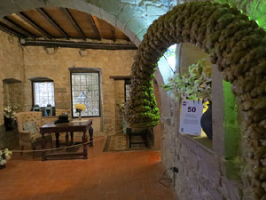 Temps de Flors 2017. Instal&middot;lacions i muntatges florals als diversos espais de la Casa Laporta-C&uacute;ndaro