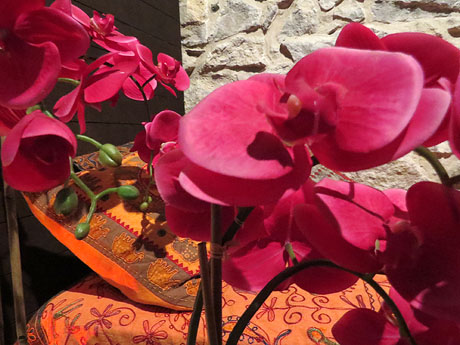 Temps de Flors 2017. Muntatges i instal&middot;lacions florals als diversos espais de la Casa Laporta-C&uacute;ndaro