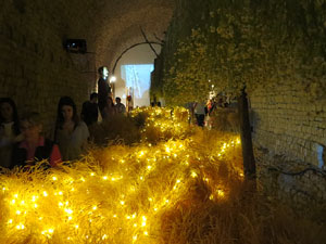Temps de Flors 2017. Decoracions florals als diversos espais dels Soterranis de la Catedral