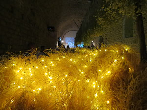 Temps de Flors 2017. Decoracions florals als diversos espais dels Soterranis de la Catedral